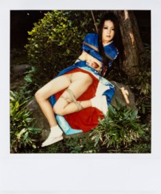 Pola eros