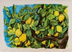 Limoni