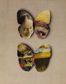 Van Gogh farfalle (La cucitrice di Vermeer)