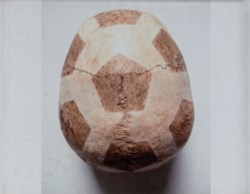 La testa nel pallone
