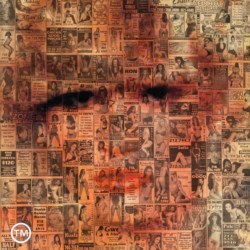 The art cover