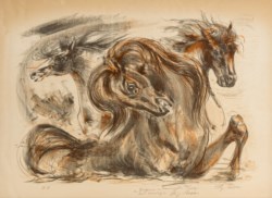 Senza titolo (Cavalli)