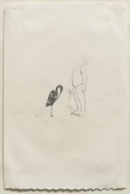 Alma venus #1