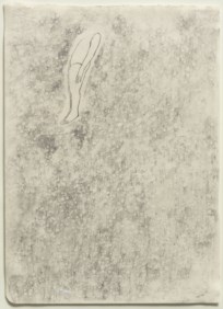 Alma venus #1