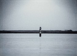 Rabbit Island. Appunti sparsi sulle maree