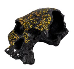 Superman - Man of Steel: Codex skull