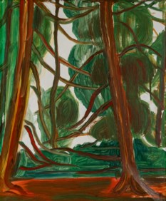 Alberi