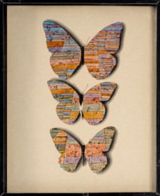 Klee-Schmetterlinge