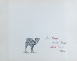 Cari amici