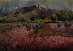 Campo di trifoglio (Trifoglio in fiore)