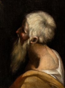 Scuola di Federico Barocci del XVII secolo - Testa di filosofo