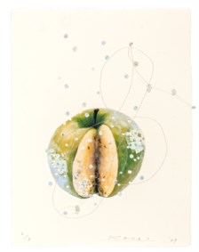 Immagine errante - mela
