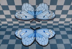 Farfalle blu