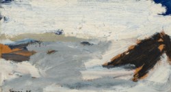 L'abetaia nera