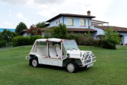 Rover Mini Moke