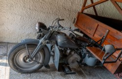 Ercole
