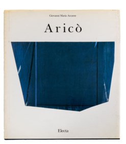 Rodolfo Aricò. L'inquietudine della ragione