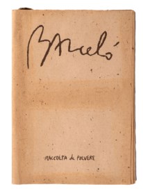 Raccolta di polvere