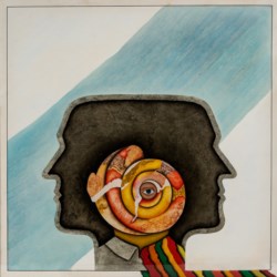 L'occhio