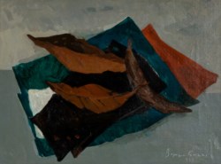 Foglie e fogli