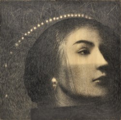 Luci Insetti Santi