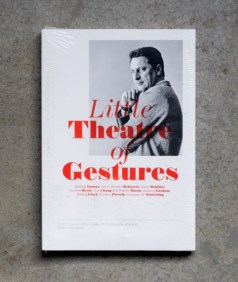 Little theatre of gestures