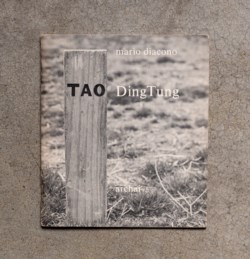 Tao DingTung
