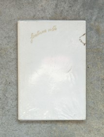 Fontana vista