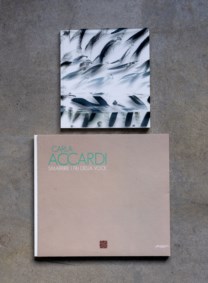 Lot of two catalogues