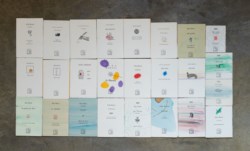 Multiple lot