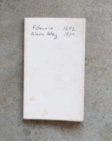 Fibonacci 1202 Mario Merz 1970