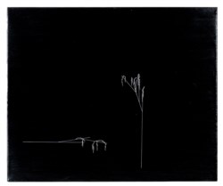 Untitled (dalla serie Bright Days Are Here)