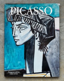 Picasso