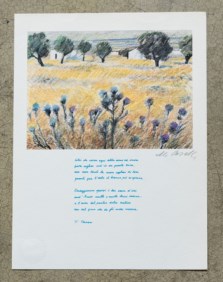 Erato