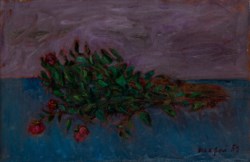 Rose selvatiche