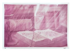 Modena, 1979 (dalla serie Still-Life)