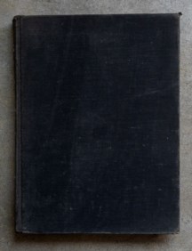 They taught themselves. American primitive painters of the 20th Century
