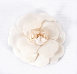 Spilla Camelia
