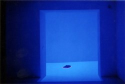 La lune dans le canniveau
