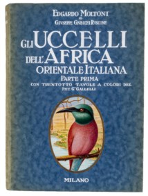 MOLTONI E. e GNECCHI RUSCONE G. - GLI UCCELLI DELL'AFRICA ORIENTALE ITALIANA
