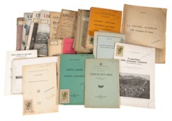 PIROCCHI ANTONIO - Archivio di agricoltura, zootecnia, veterinaria ecc. del professor Antonio Pirocchi e di suoi colleghi