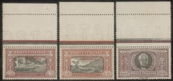 Colonie - Cirenaica - 1924 - Manzoni (11/16)