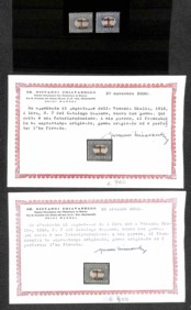 Lotti&Collezioni - Area Italiana - OCCUPAZIONI - Trentino e Venezia Giulia - 1918 - Lotto di 13 esemplari del periodo