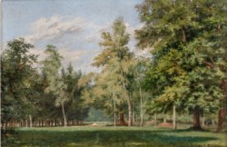 Luigi Calderini (Torino, 1880 - 1973) - Paesaggio boschivo