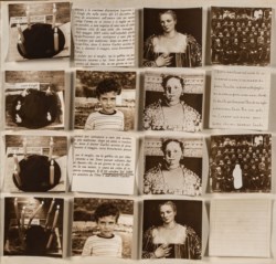 12 fotografie