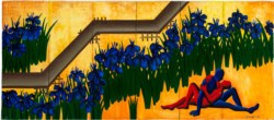 The red iris