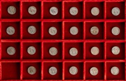 STATI UNITI D'AMERICA - Lotto di 23 5 cent Buffalo, senza ripetizioni.