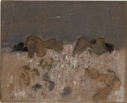 Paysage rocheux