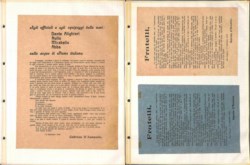 Lotti&Collezioni - D'ANNUNZIO/FIUME - 1919/1922 - Splendida collezione di 295 volantini del periodo in 4 grandi album