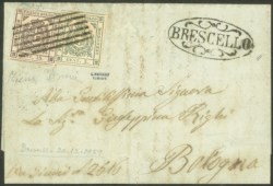 Antichi Stati Italiani - Modena - Governo Provvisorio - Bicolore composta da 5 cent verde + 15 cent bruno (12 + 13)